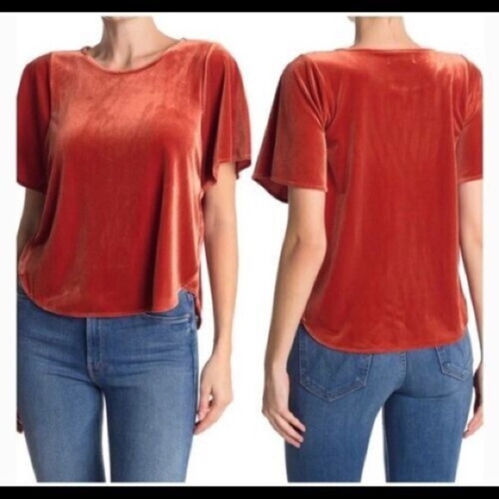 Madewell Butterfly Velvet Top